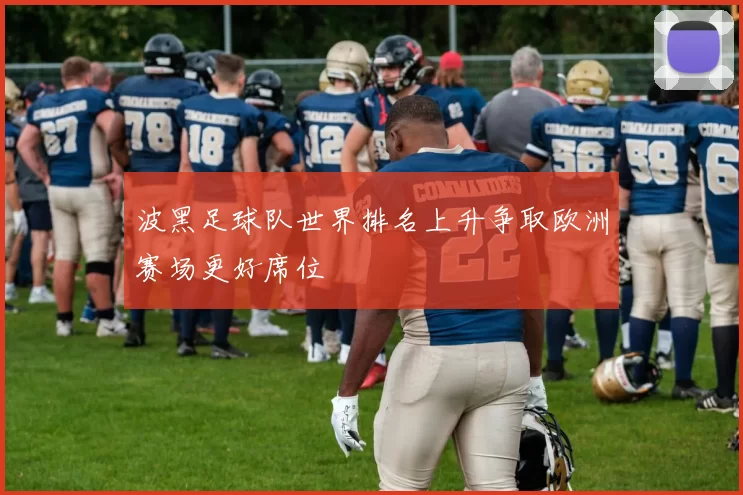 波黑足球队世界排名上升争取欧洲赛场更好席位