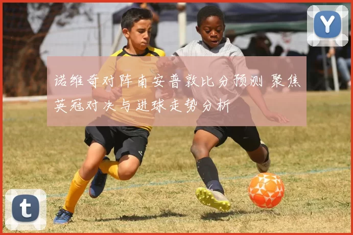 诺维奇对阵南安普敦比分预测 聚焦英冠对决与进球走势分析